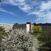 2 комнаты г. Минск,  ул. Прушинских, д. 42