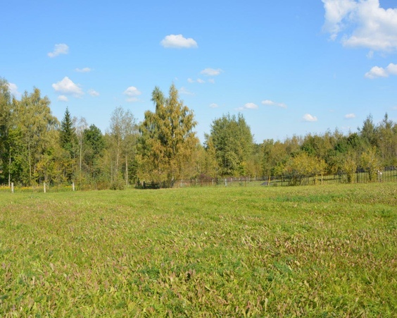 Земельные участки