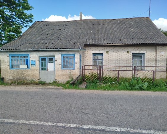Дом, аг. Новосёлки, ул. Боровая