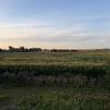 Полдома агрогородок Гричино, Дзержинский р-н, Минская обл.