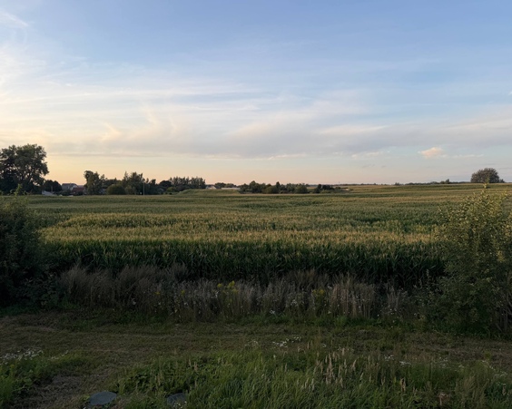 Полдома агрогородок Гричино, Дзержинский р-н, Минская обл.